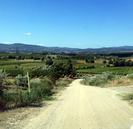 Agriturismo Relais Poggio Primo Borro Екстериор снимка