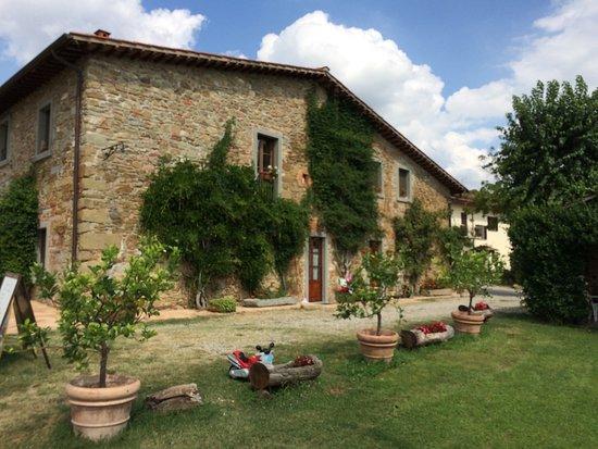 Agriturismo Relais Poggio Primo Borro Екстериор снимка